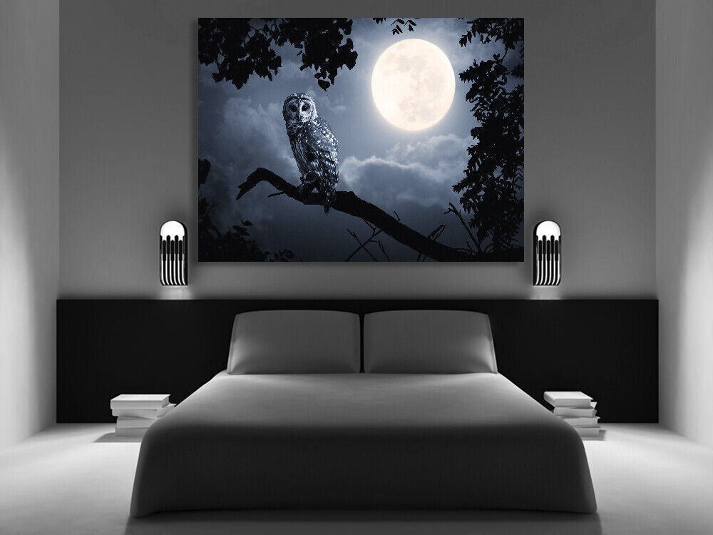 OWL ILLUMINATED BY FULL MOON  Canvas Wall Art Picture Print