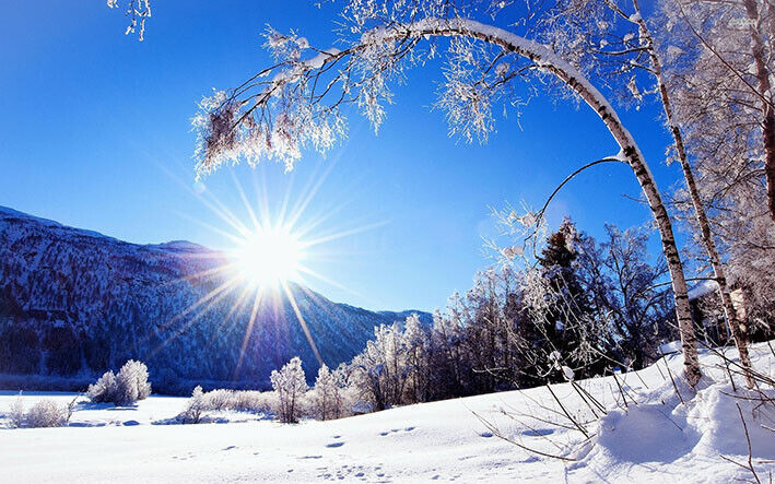 Snow Winter Wonderland Cotton Canvas Wall Art Picture Print - All Sizes