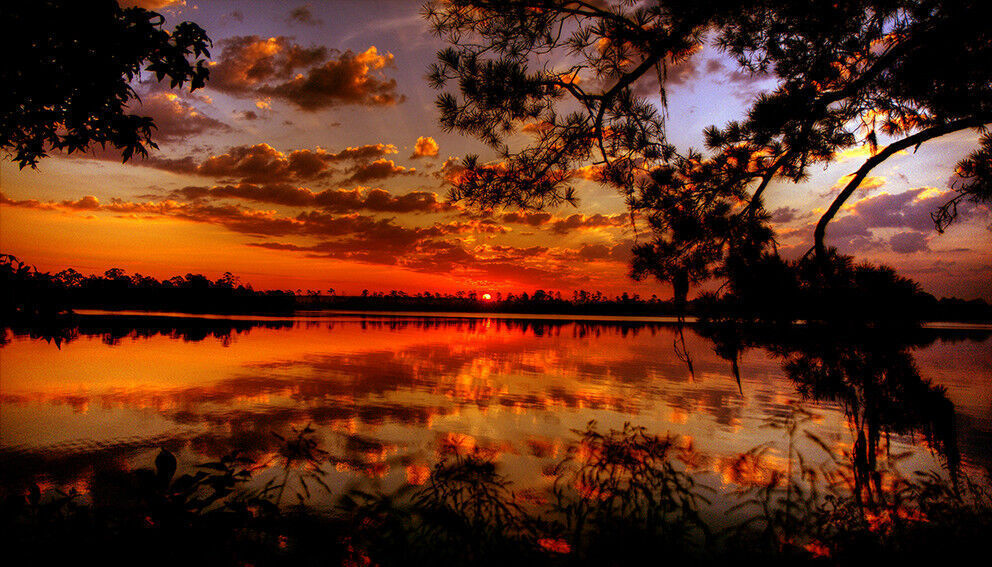Golden Sunset at Lake - Cotton Canvas Wall Art Picture Print- ALL SIZES
