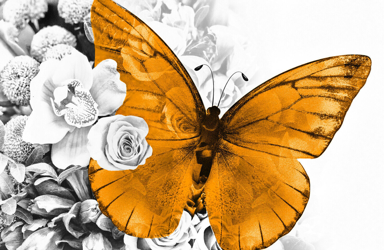 Orange butterfly grey floral abstract background Canvas Wall Art Picture Print