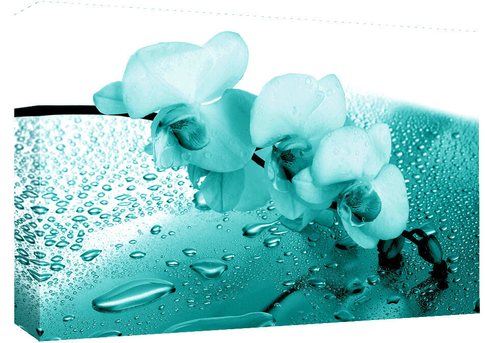 Teal Orchid Floral Canvas Wall Art Picture Print - ALL SIZES