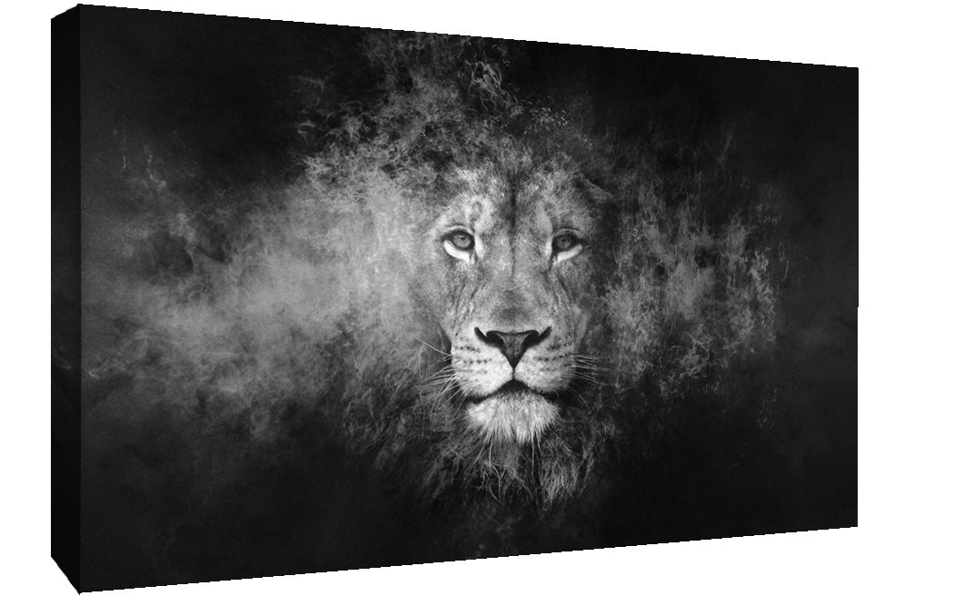 Black & White Abstract Lion CANVAS WALL ART Picture Print, A1, A2 Various sizes