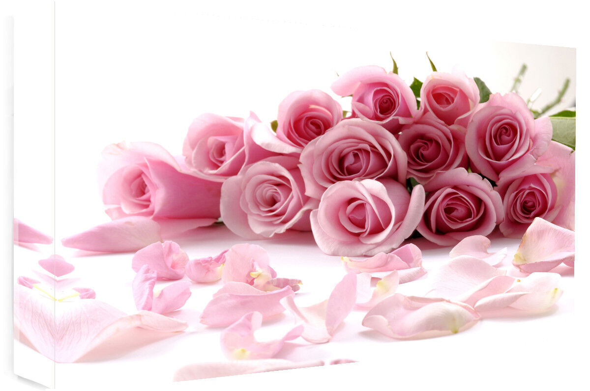 Pink Floral Roses Flowers Canvas Wall Art Print 100% cotton A1 A2 A0 A4