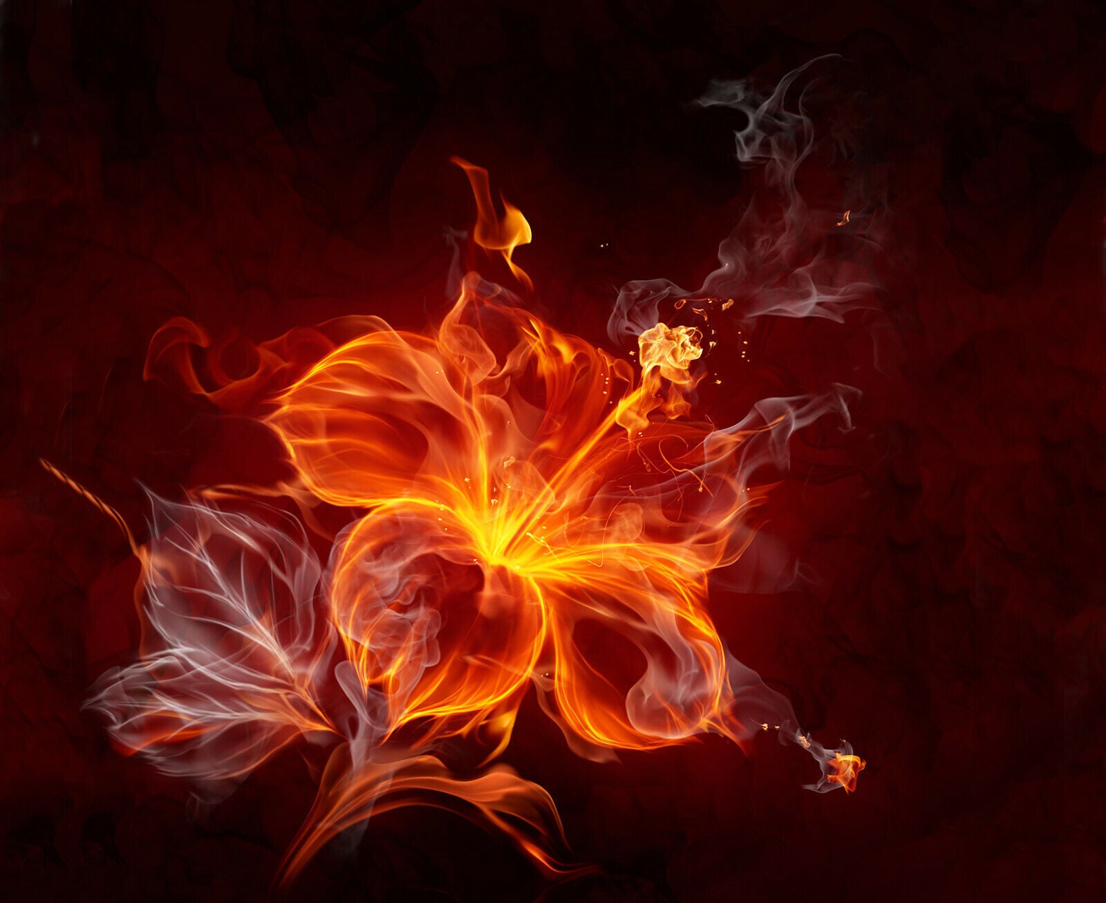 Floral Canvas Abstract Flaming Red Flower & Smoke Canvas Wall Art Picture Print