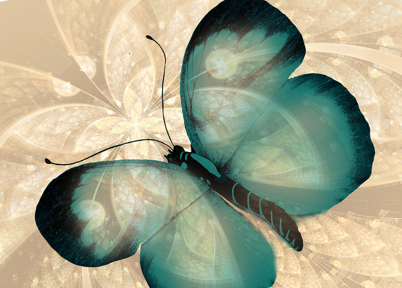 Abstract Canvas Print Butterfly Duck Egg Blue Cream Wall Art Print Various Sizes