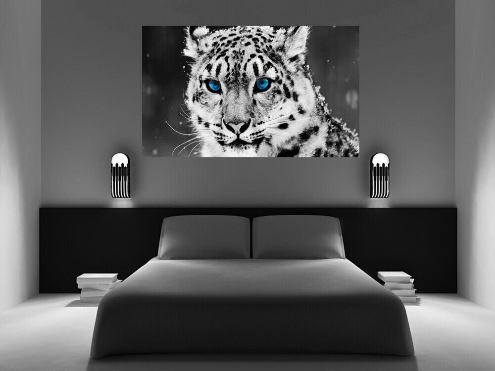 Blue Eyed Black & White Snow Leopard CANVAS WALL ART Picture Print