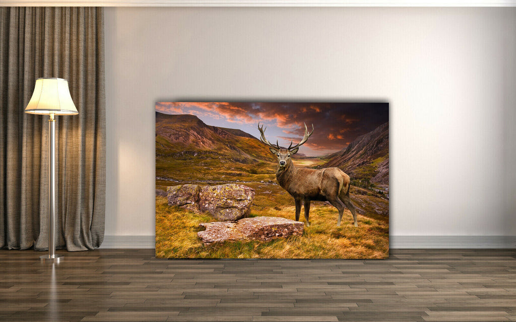Red deer stag in moody mountain sunset landscape Canvas Wall Art Picture Print