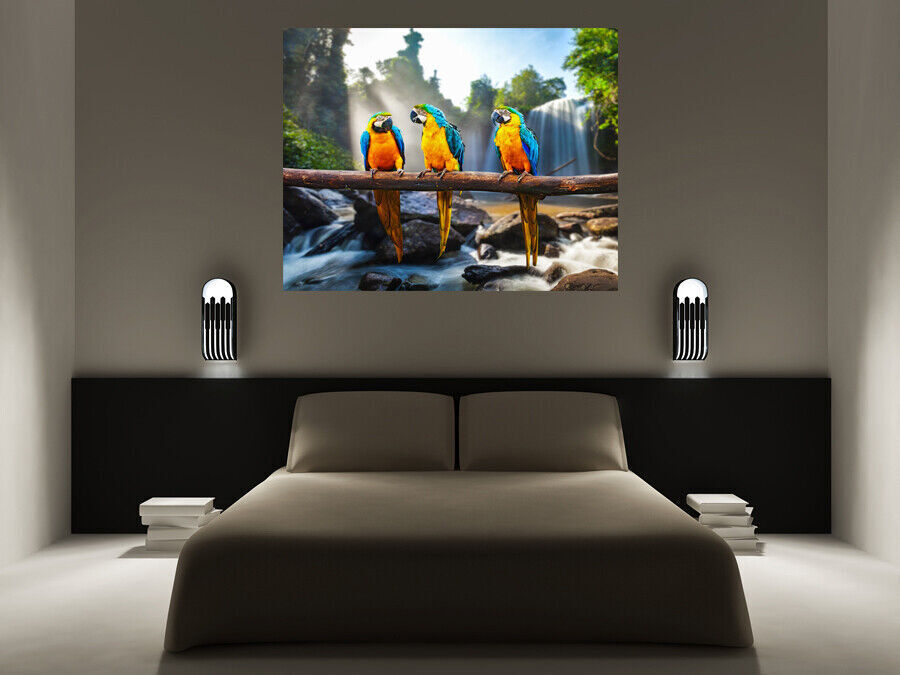 Colourful Parrots Macaws Cotton Canvas Wall Art Picture Print