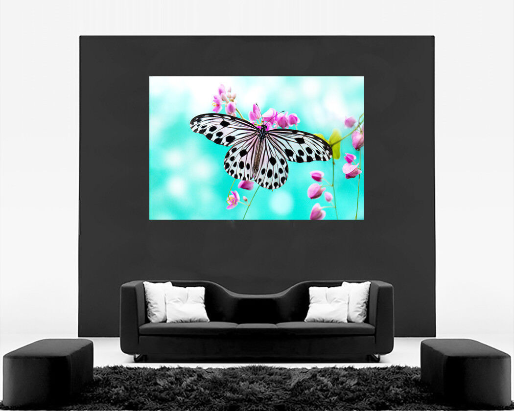 Pink Flowers Floral and Butterfly Canvas Wall Art Picture Ready to Hang