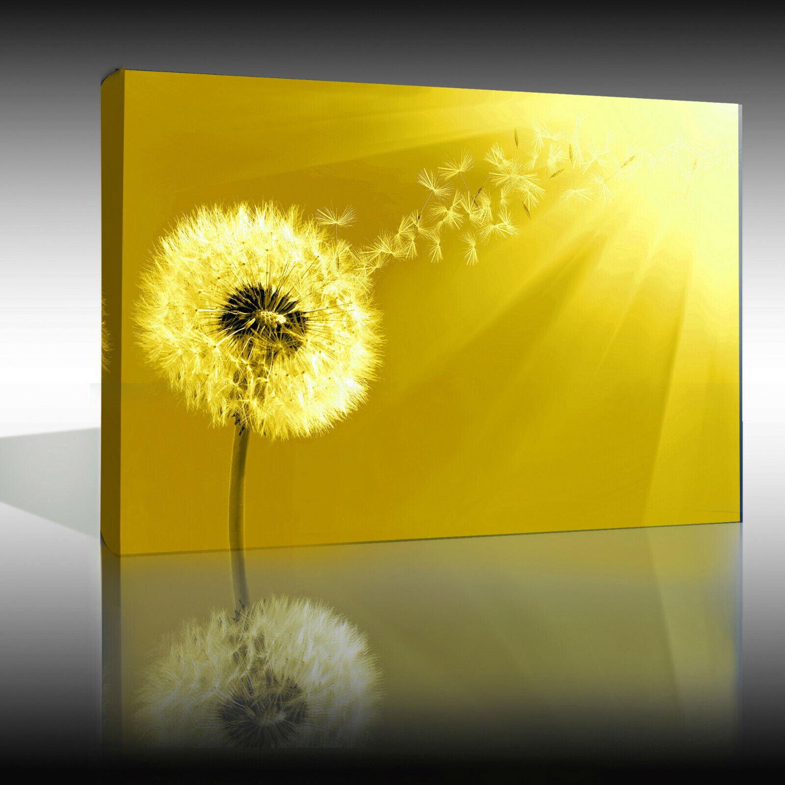 Yellow / Mustard Dandelion Blowing into Sunlight Canvas Wall Art Picture Print