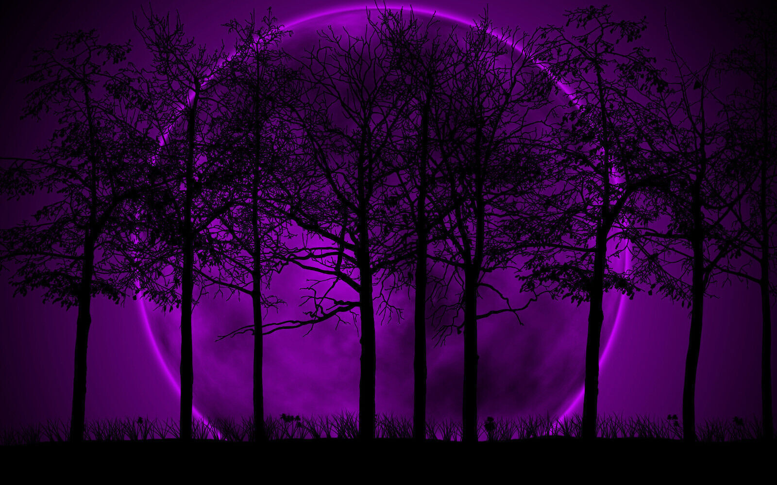 Purple & Black Modern Landscape Cotton Canvas Wall Art Picture Print - All sizes