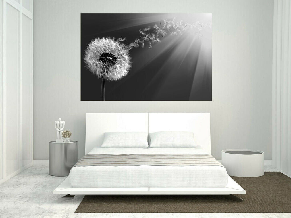Grey Dandelion Blowing into Sunlight Canvas Wall Art Picture Print