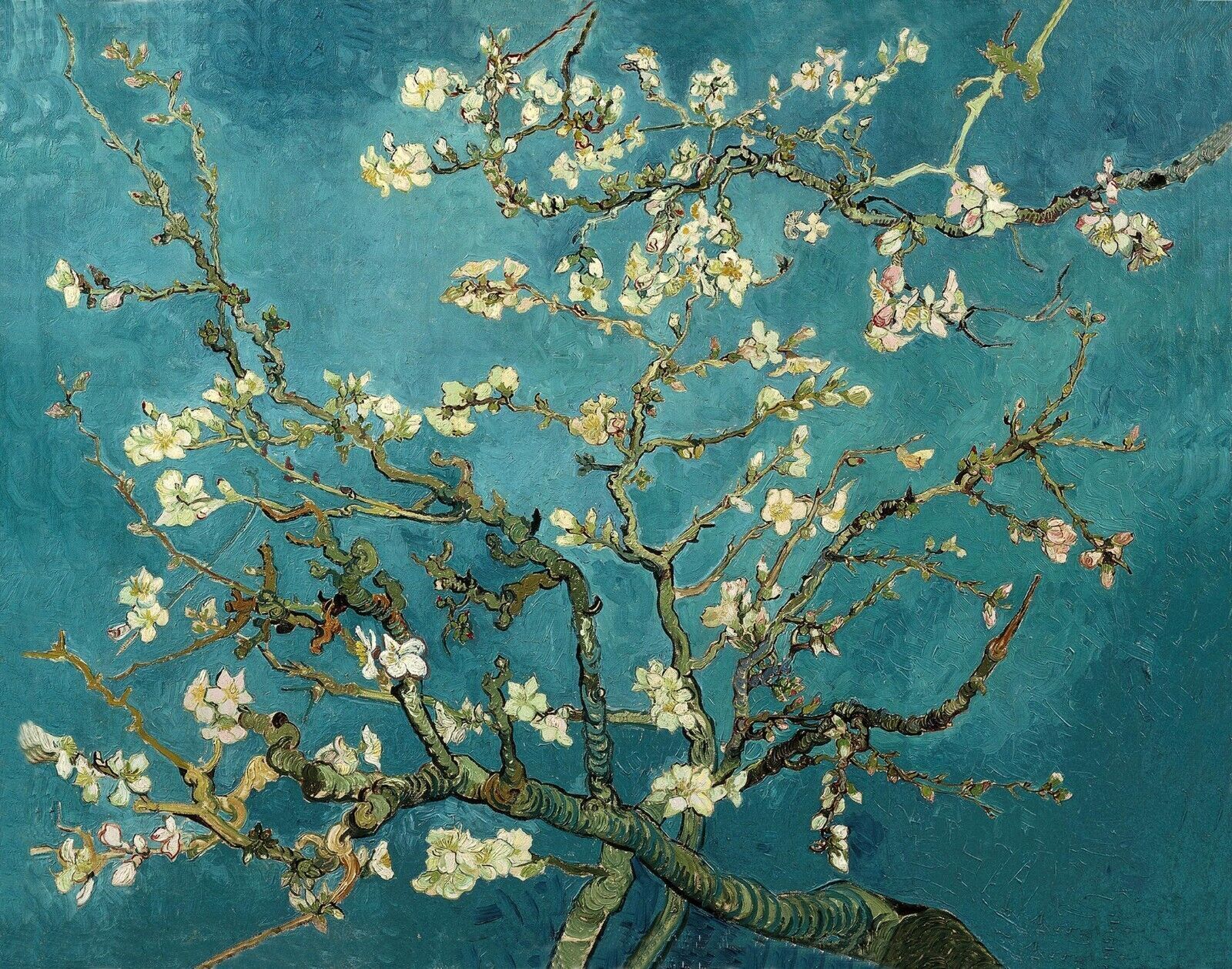 Vincent van Gogh Almond blossom duck egg blue CANVAS WALL ART PAINTING PRINT