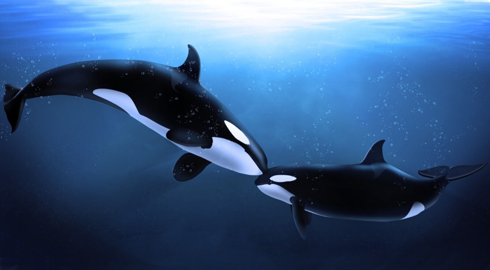 Kissing Whales in Sunlit Ocean Blue Canvas Wall Art Picture Print