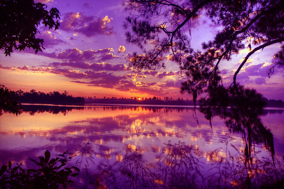 Purple Tones Sunset at Lake - Cotton Canvas Wall Art Picture Print- ALL SIZES
