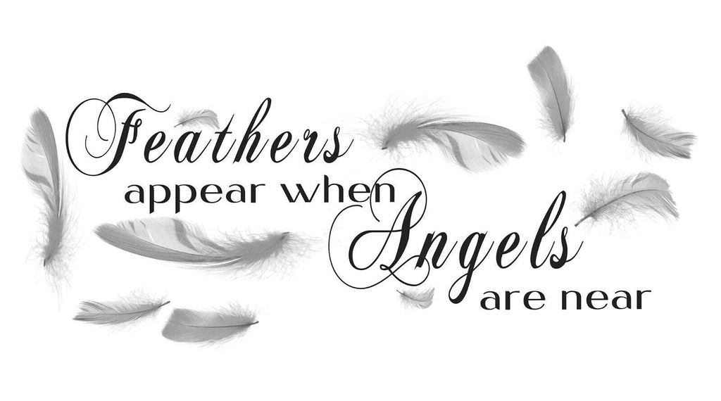 Black and White Feathers appear when angels quote Canvas Wall Art Picture Print