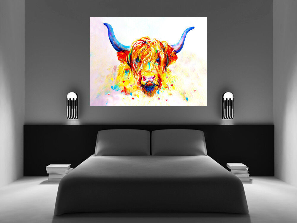 Coloured Highland Cow Box Canvas wall art print picture - All sizes available