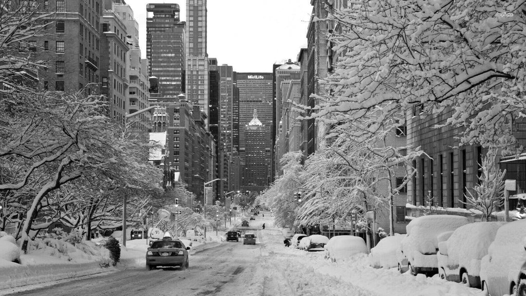 Winter Snow Covered New York Cotton Canvas Wall Art Picture Print A0 A1 A2 A3 A4