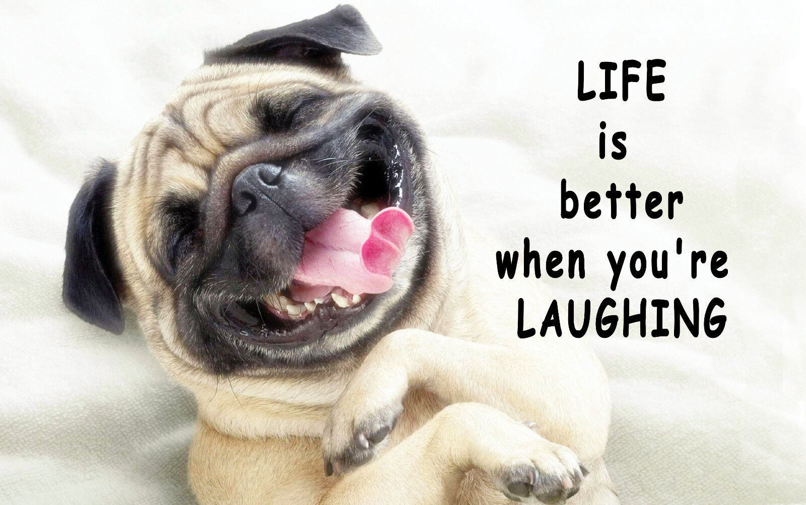Life is Better Laughing Pug Dog Quote CANVAS WALL ART Picture Print A1, A2
