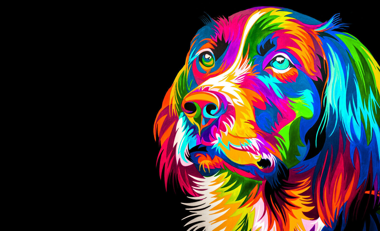 Animals Dog Cat CANVAS WALL POP ART COLOURFUL Picture Print Fast Delivery