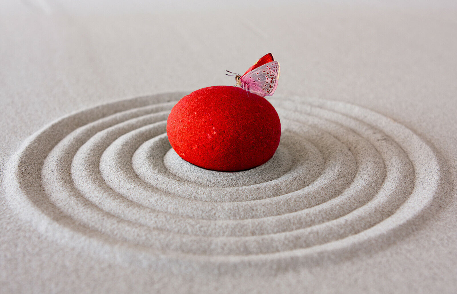 RED ZEN PEBBLE & BUTTERFLY SAND RIPPLE Canvas Wall Art Picture Print