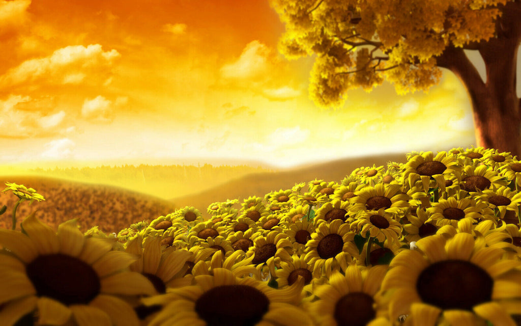 Yellow Tree and Sunflowers in Field CANVAS WALL ART Picture Print