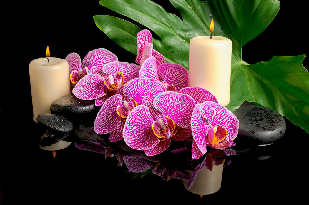 Pink Orchid Flowers Black Zen Stones Canvas Wall Art Picture Print - A0, A1, A2