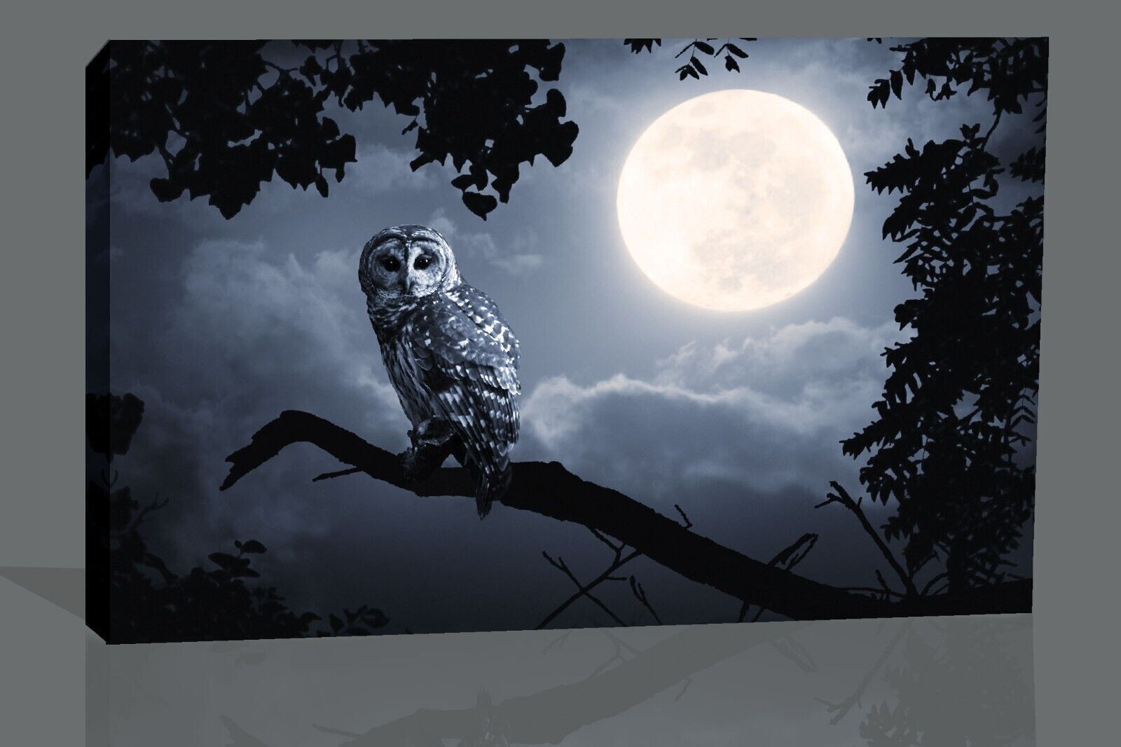 OWL ILLUMINATED BY FULL MOON  Canvas Wall Art Picture Print