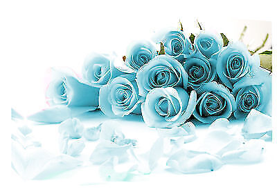 X-LARGE DUCK EGG BLUE ROSES CANVAS PICTURE WALL ART A0 47" x 33" (118cm x 83cm)