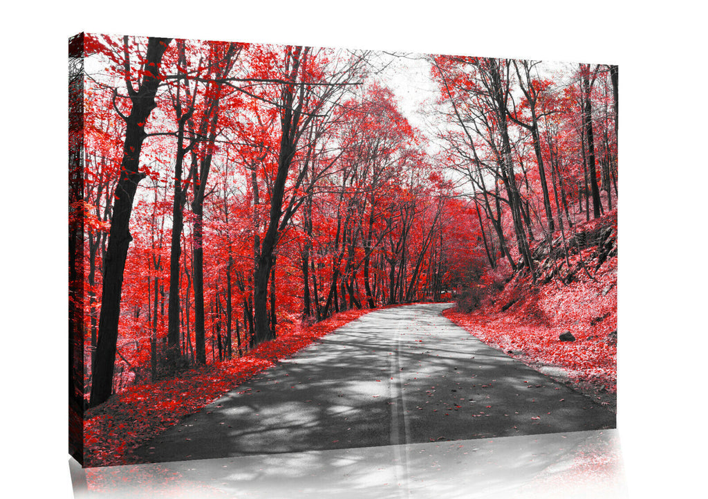 Red Trees Lined Road Landscape Canvas Wall Art Picture Print