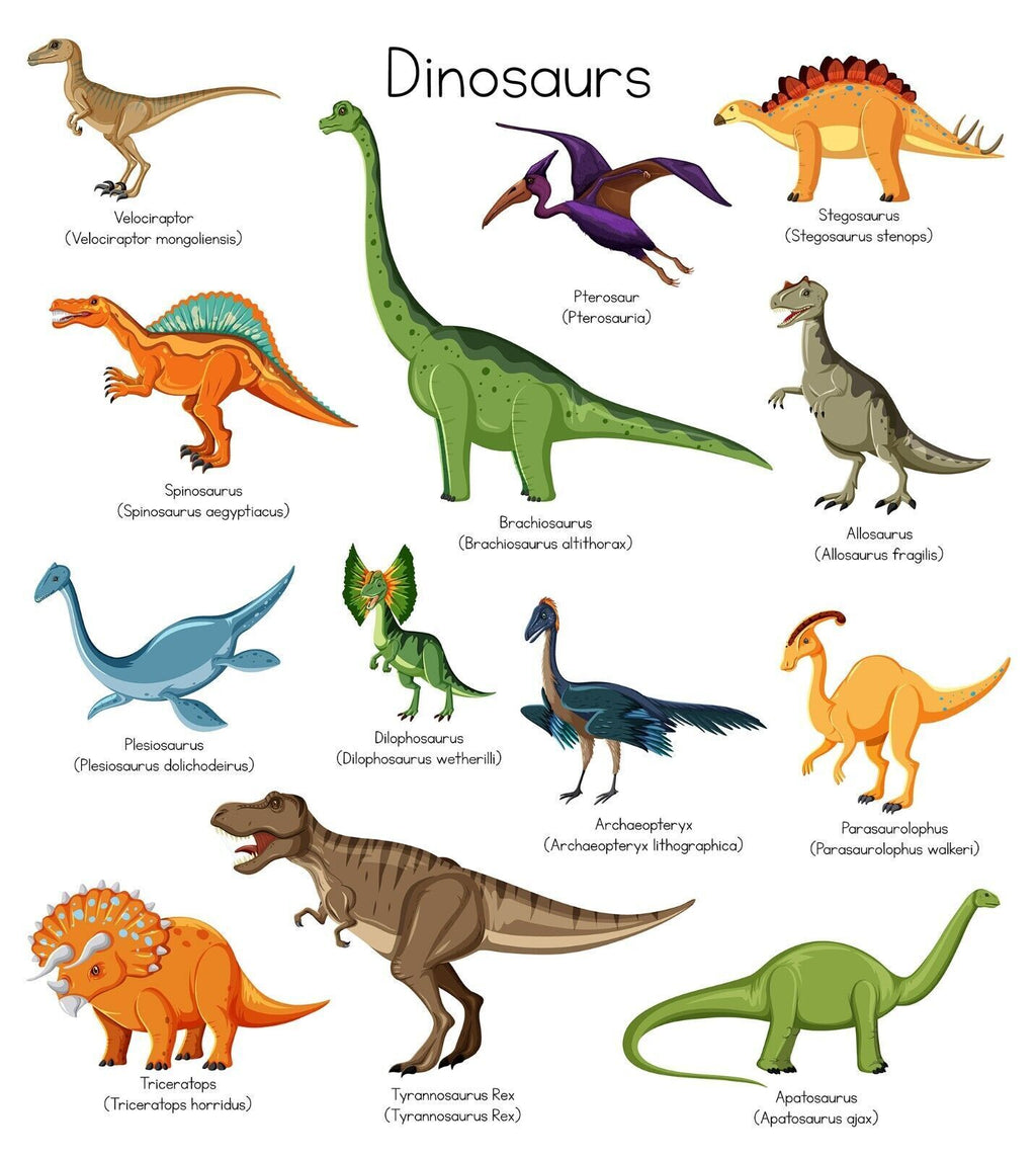 Dinosaur Chart Names Canvas Wall Art Picture Print