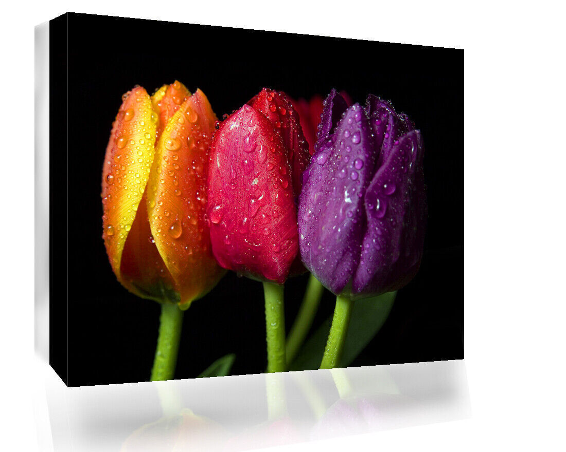 Colourful Tulips Floral Flower Cotton Canvas Wall Art Picture Print  A1 A2 sizes