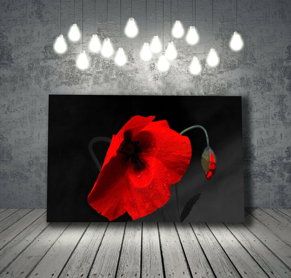 Black Red Floral Poppy Canvas Wall Art Picture Print