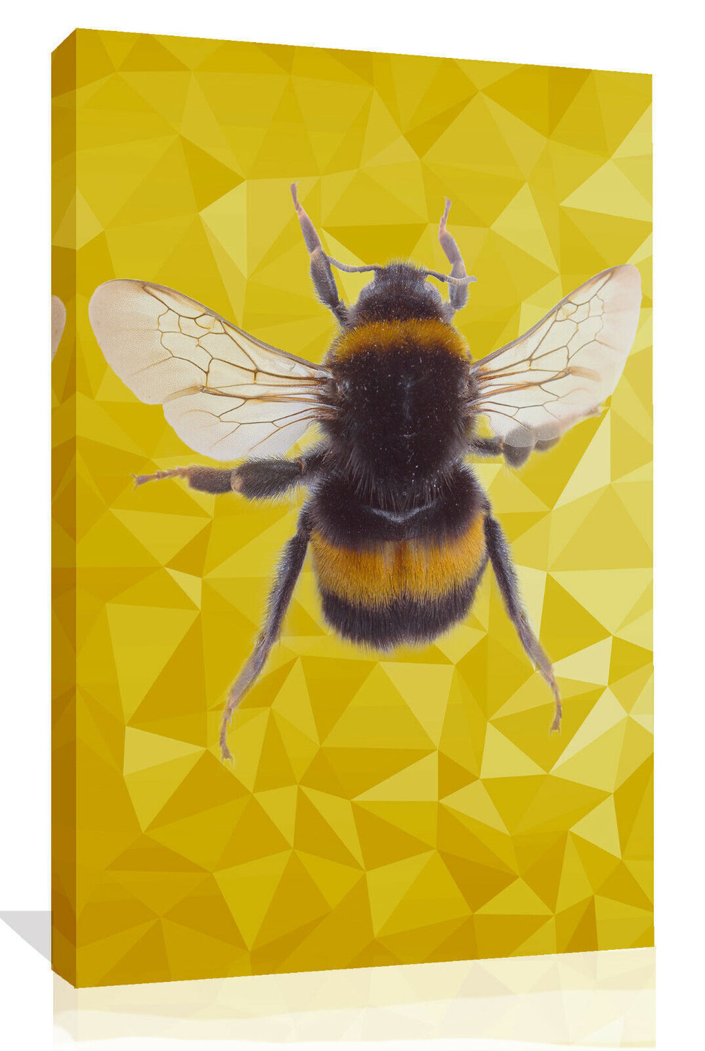 Bumble Bee Animal Abstract YELLOW / MUSTARD CANVAS WALL ART PRINT PICTURE