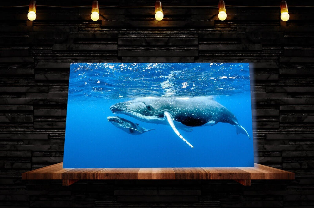 Humpback Whale and Calf Bathroom Blue Canvas Wall Art Picture Print