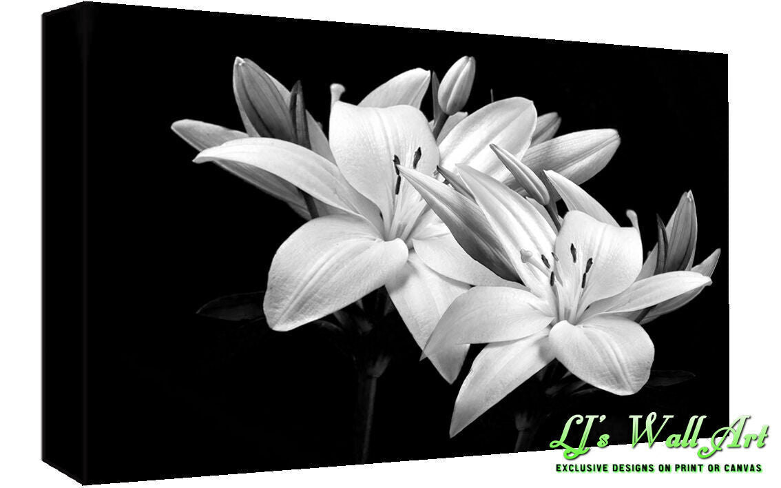 Black & White Lilies Cotton Canvas Wall Art Picture Print - A1, A2 +sizes