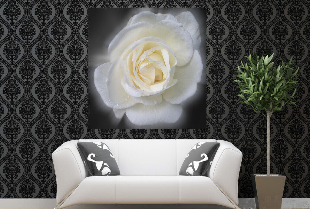 Stunning White Floral Rose Flower Canvas Wall Art Picture Print - All sizes