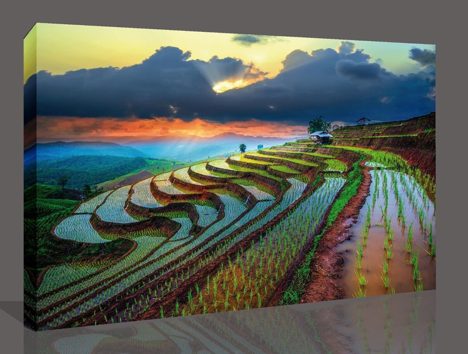 Sunset Over Paddy Field in Thailand  Canvas Wall Art Picture Print