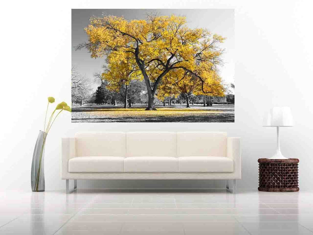Large Yellow Leaves Black White Tree Nature Canvas Wall Art Picture Print