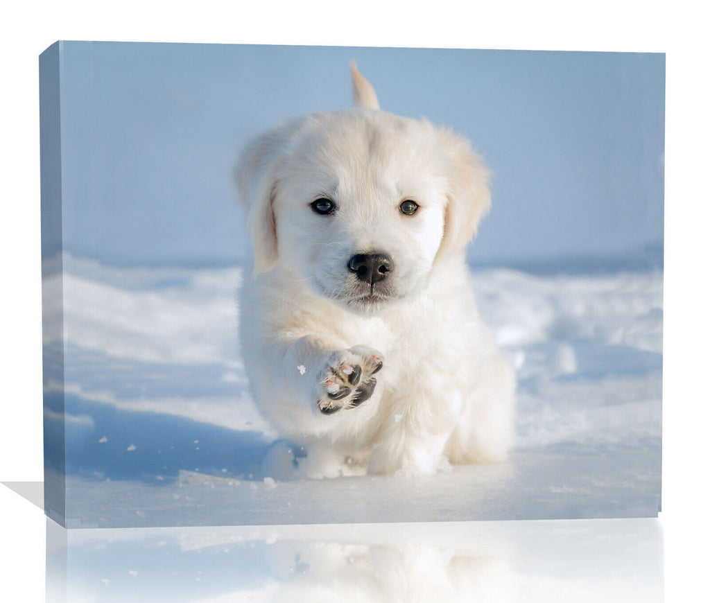 Cute Puppy in Snow Winter Canvas Wall Art Picture Print
