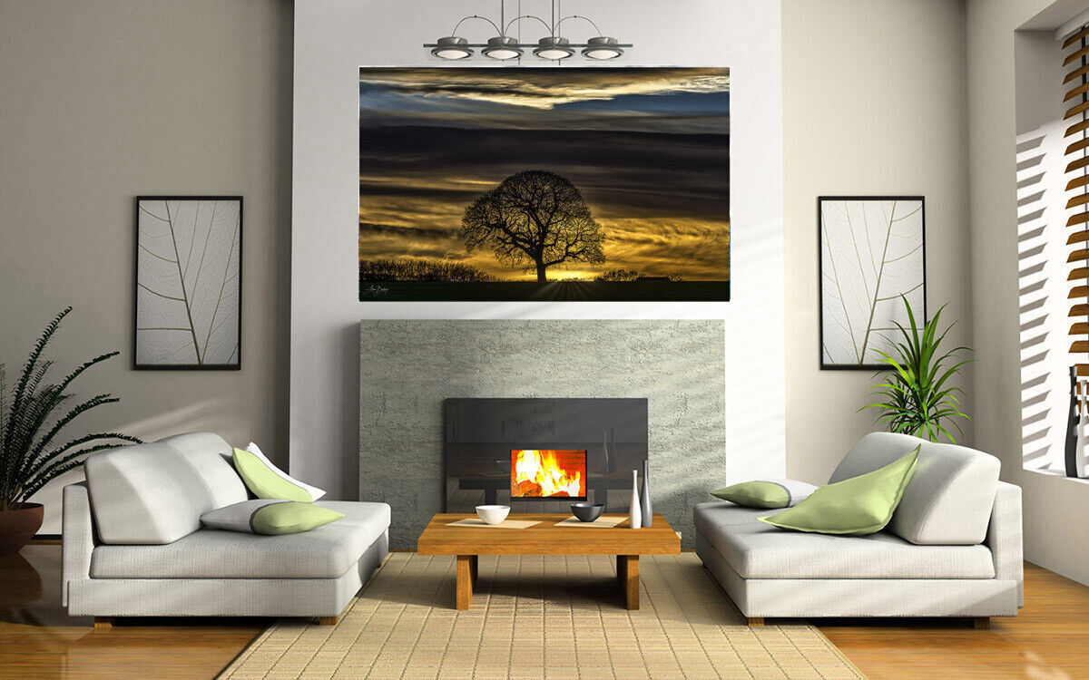 Sunset on Oak Tree on Farm Landscape Canvas Wall Art Picture Print