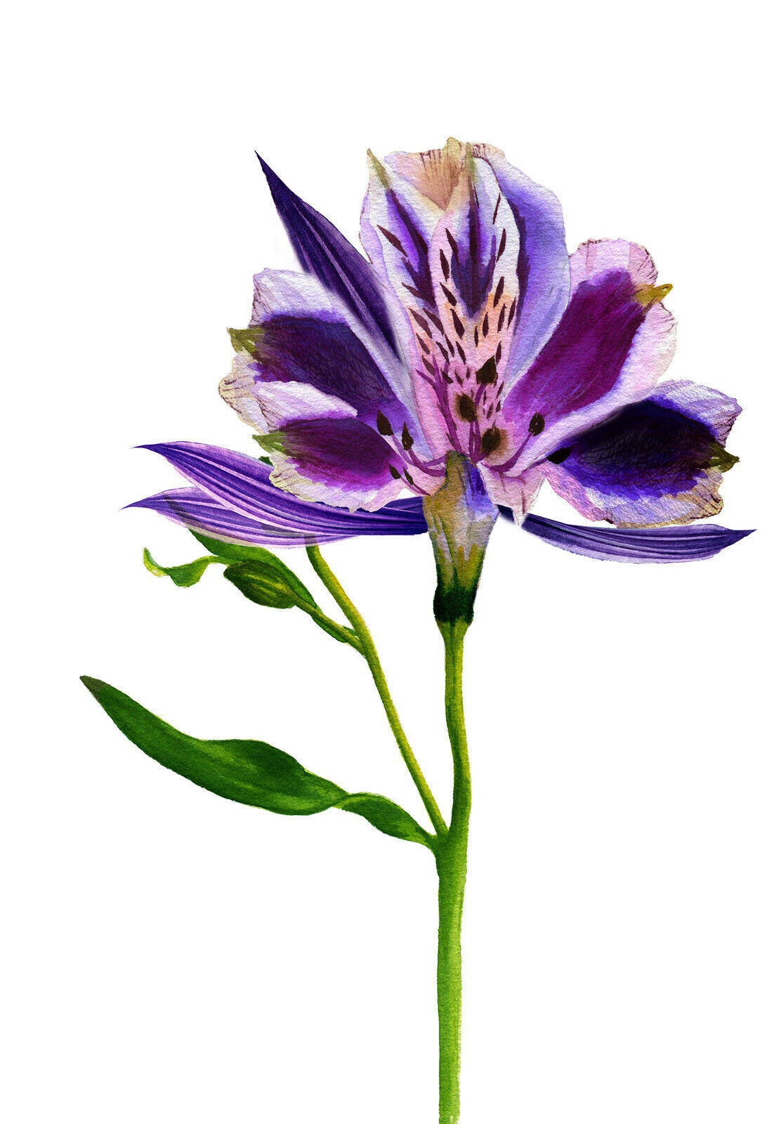 Abstract Purple Tones Flower Floral Watercolor CANVAS WALL ART Picture Print