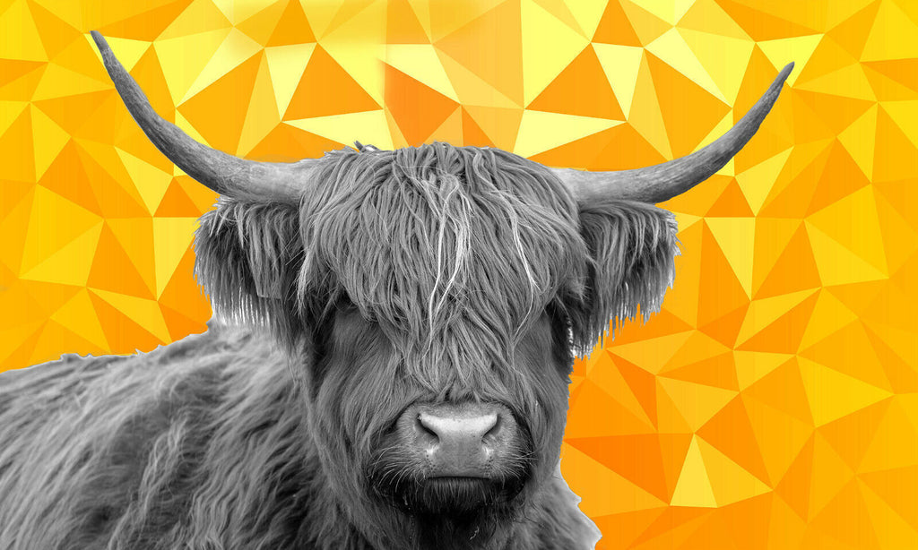 HIGHLAND COW BLACK, WHITE YELLOW / MUSTARD GEO CANVAS WALL ART PRINT ARTWORK
