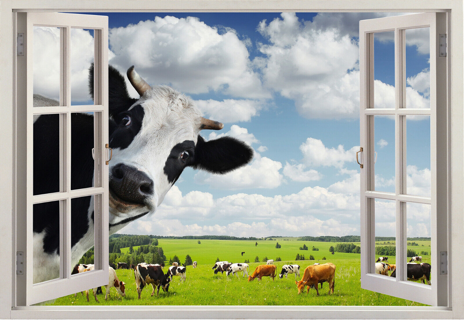 Funny Rural Cow Peeping in Window Canvas wall art print picture