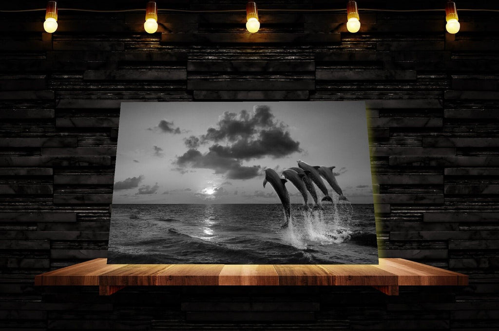 Black & White Sunset With Dolphins Jumping in Sea Canvas Wall Art Picture Print