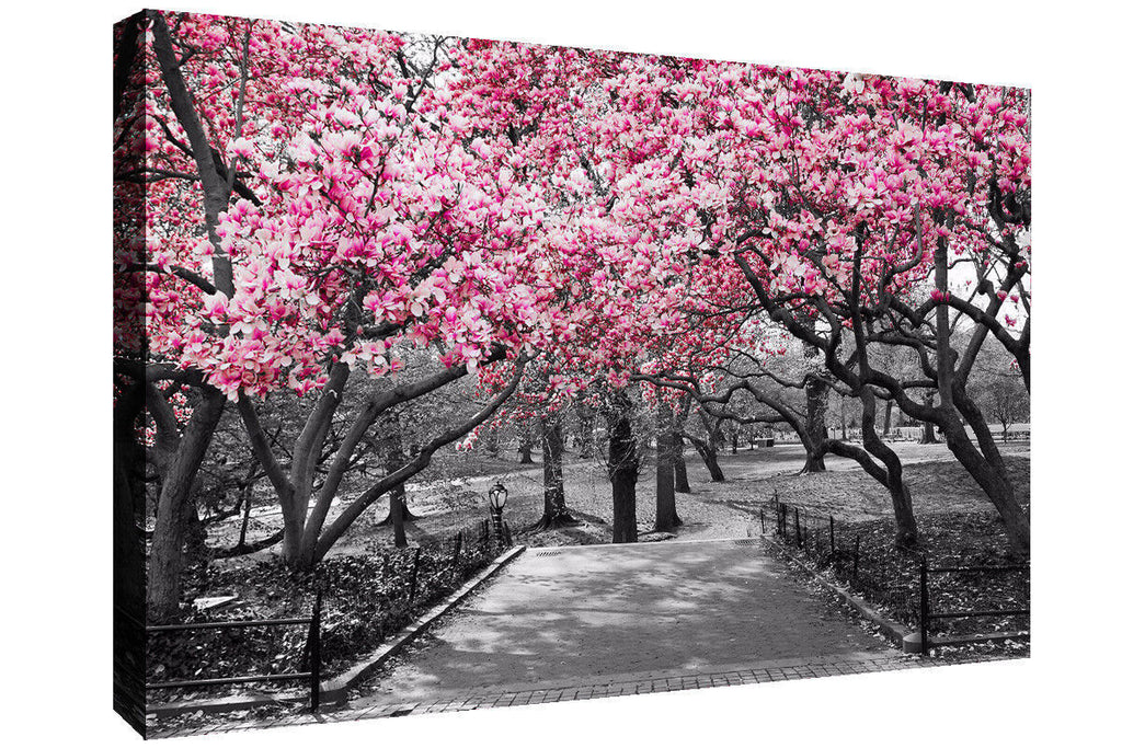 Black & White Wall Art Pink Blossoms Trees Canvas Wall Art Picture Print