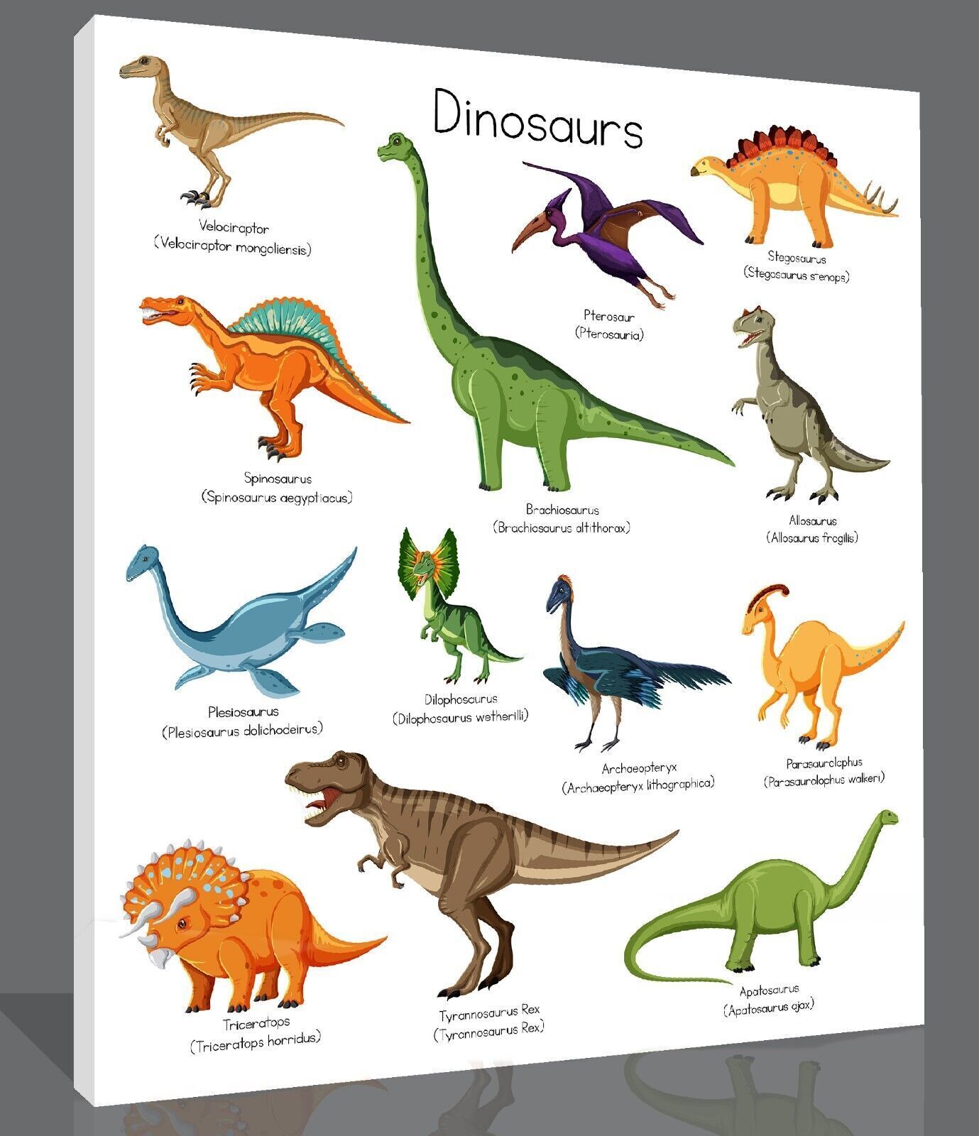 Dinosaur Chart Names Canvas Wall Art Picture Print