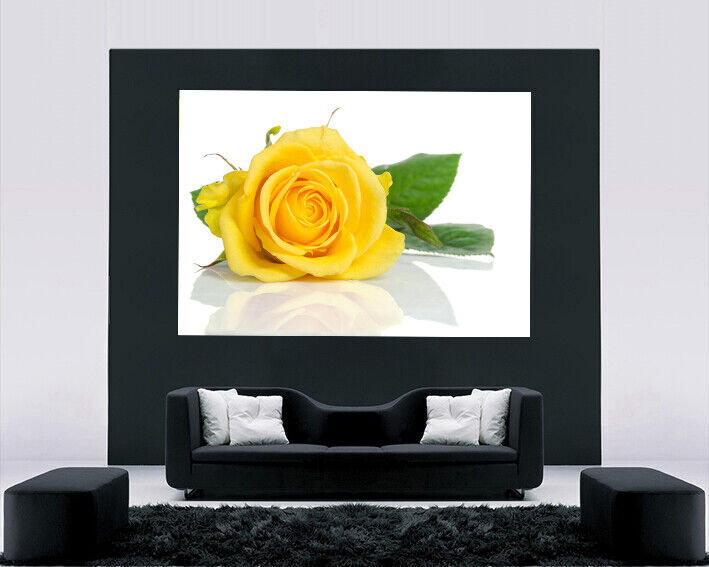 Single Yellow Rose Flower Canvas Wall Art Picture Print