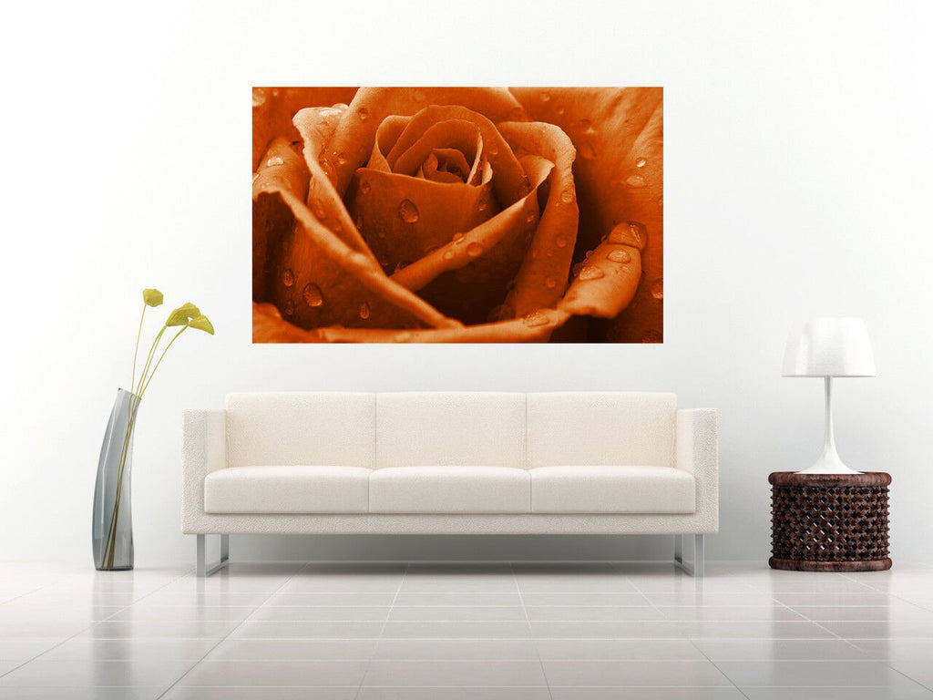 Orange Rose Flower with Raindrops Canvas Wall Art Print 100% cotton A1, A2, A0 +
