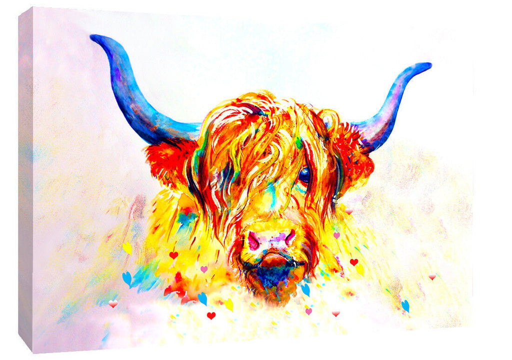 Coloured Highland Cow Box Canvas wall art print picture - All sizes available